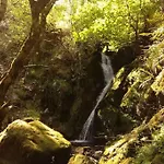 Escanlar Tremado