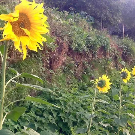 Escanlar Hostel Tremado